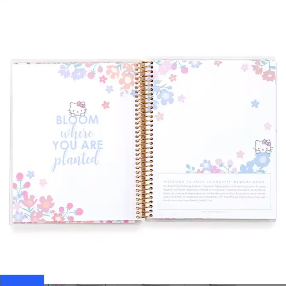 Erin Condren Hello Kitty Memory Book *NO covers